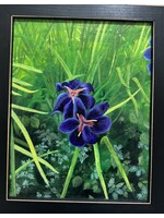 ELIZABETH JONES JONES-E Southern Purple Iris