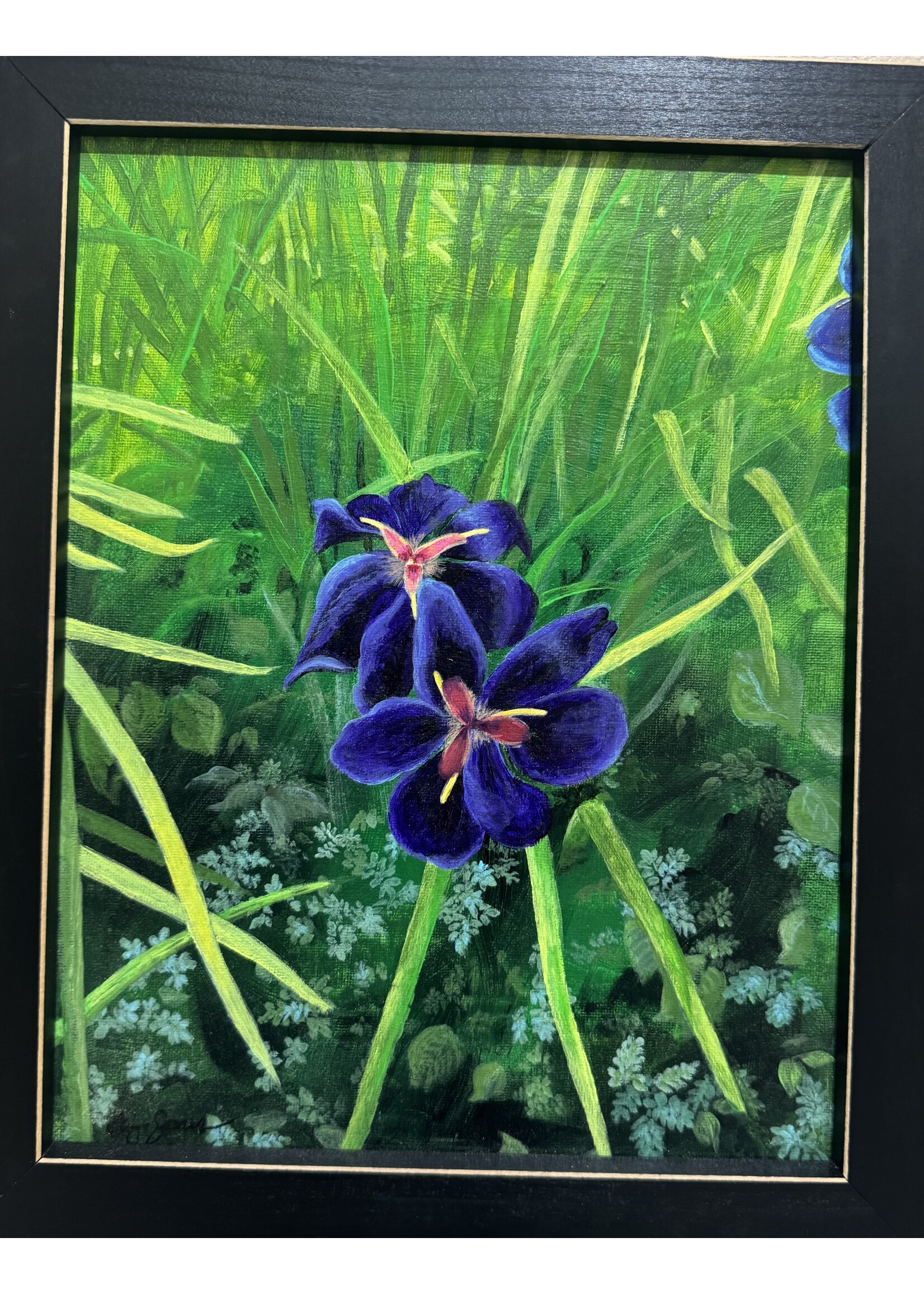 ELIZABETH JONES JONES-E Southern Purple Iris