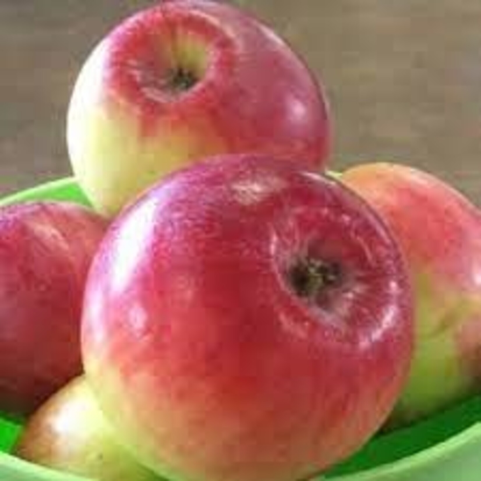 Apple Red Sparkle 5gal