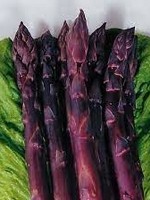 Asparagus Sweet Purple 11 cm