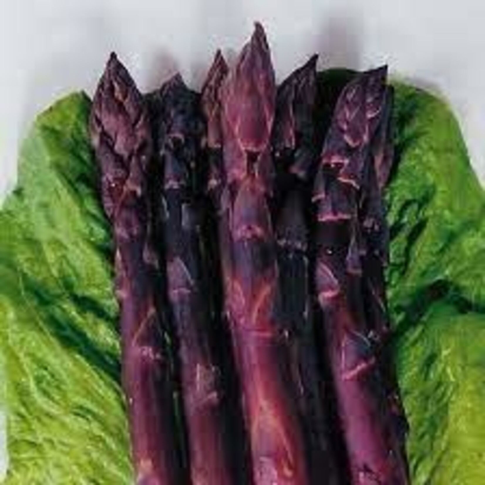 Purple Asparagus