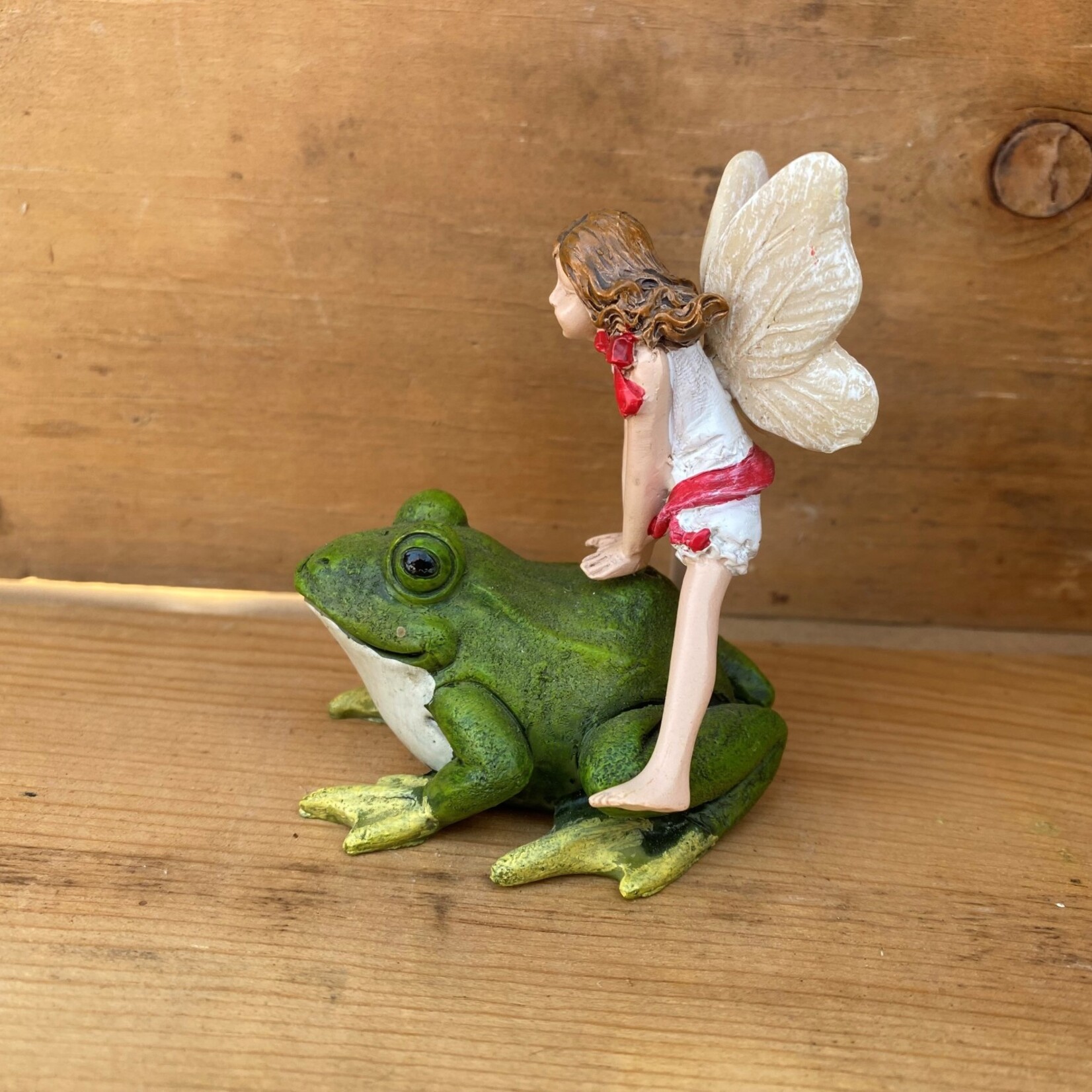 Fairy on Frog