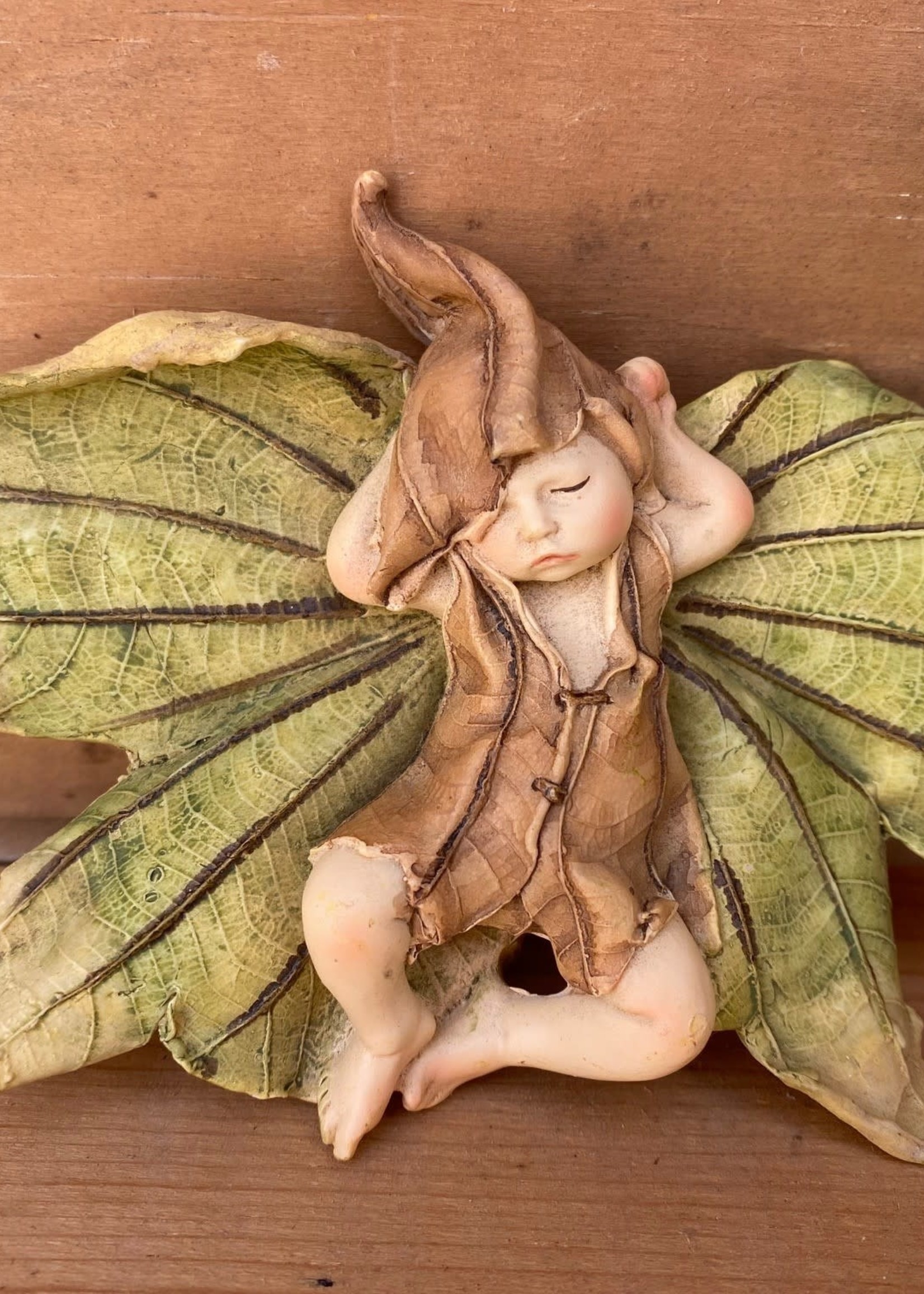 Fairy Sleeping on Leaf Onsie