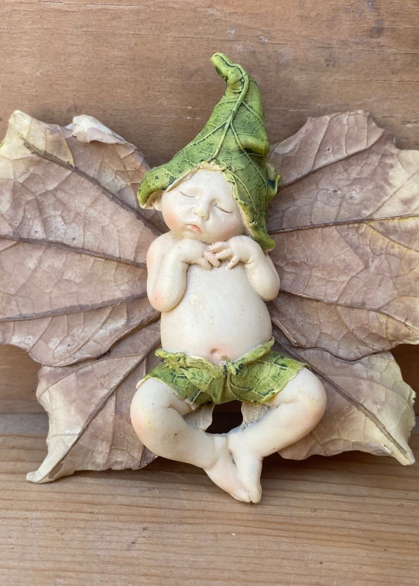 Fairy Sleeping on Leaf Shorts