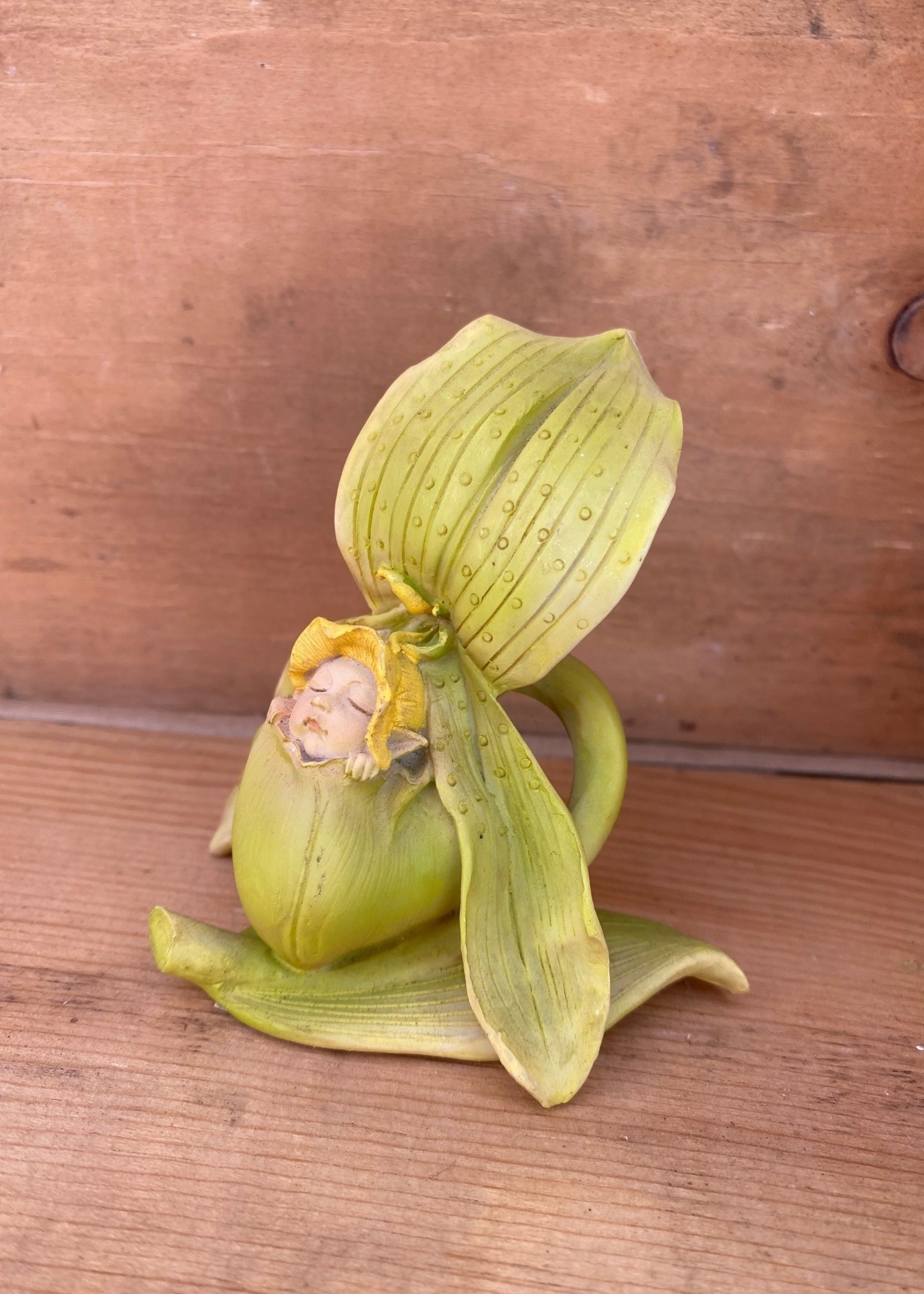 Fairy Sleeping Orchid Flower