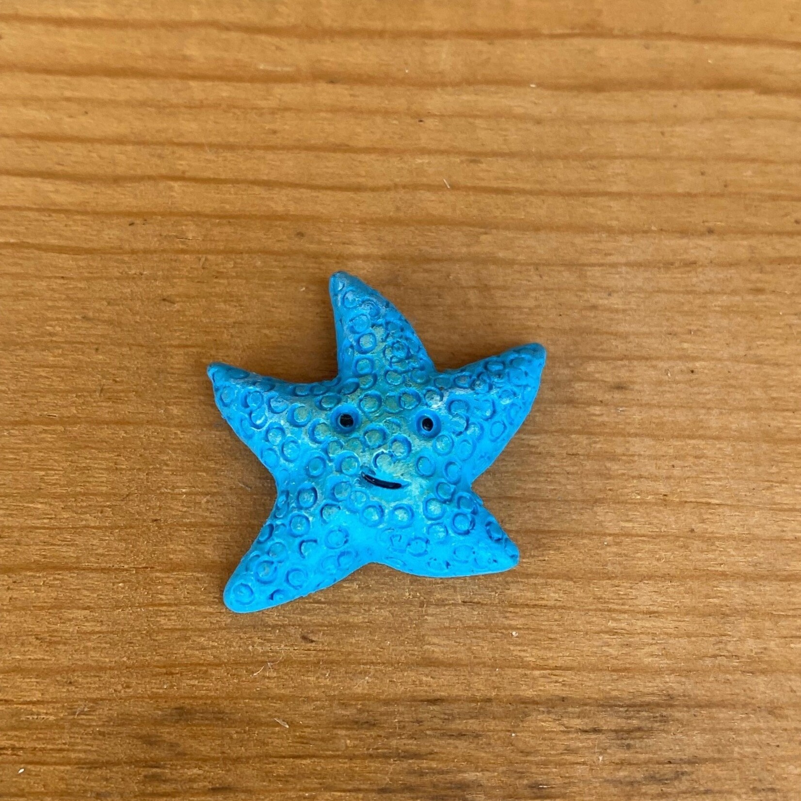 Miniature Blue Starfish