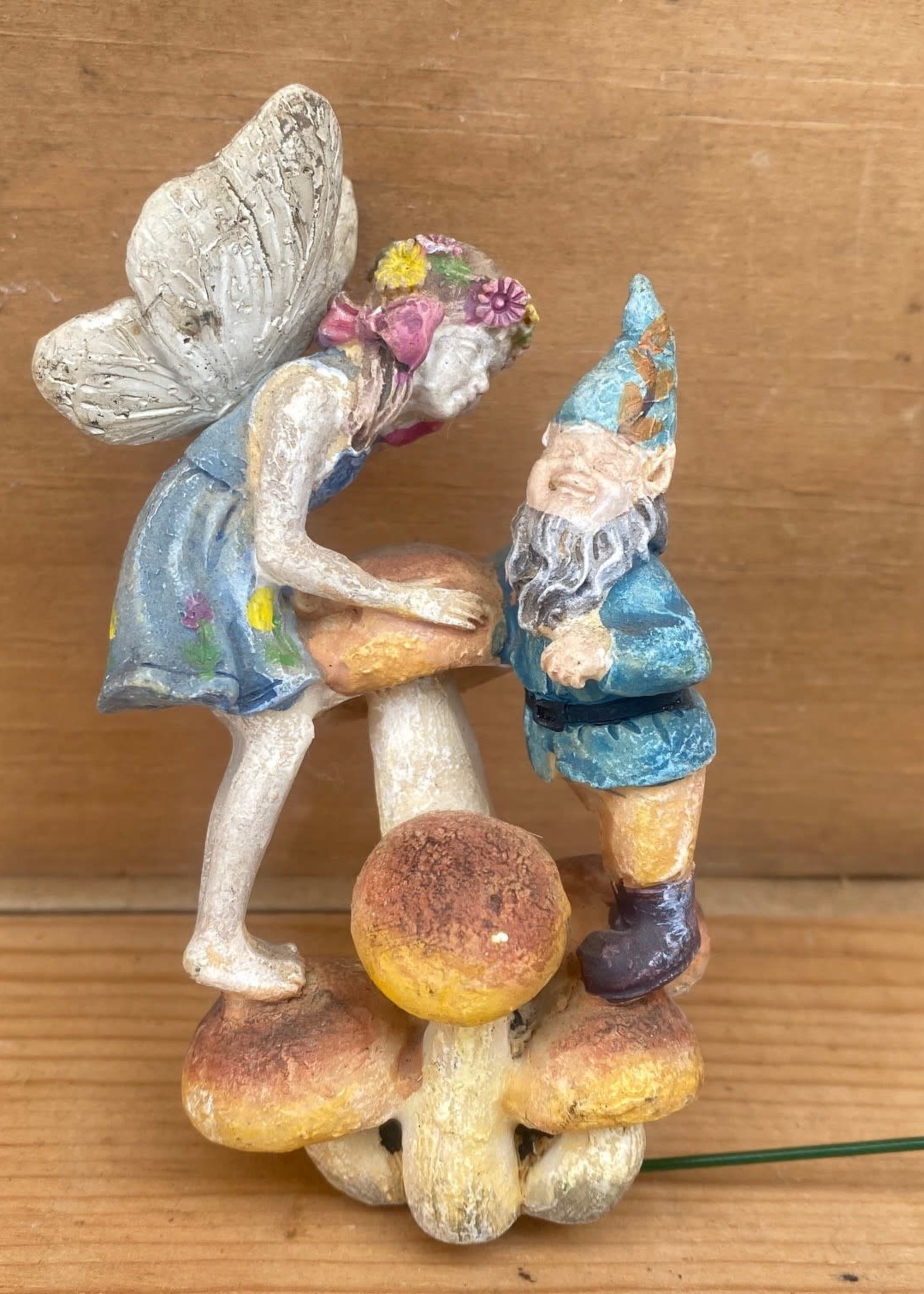 Fairy & Gnome with Mushrooms