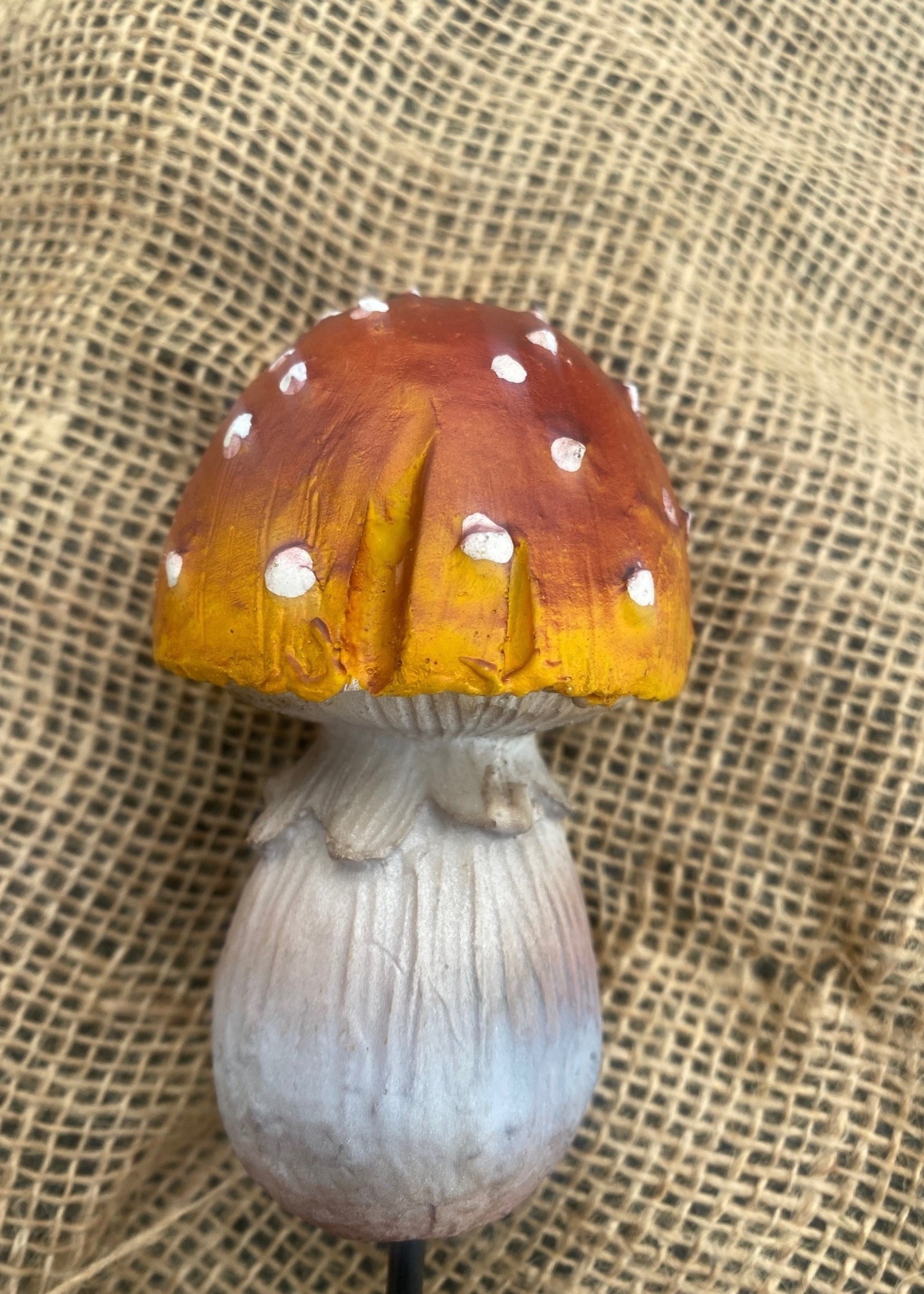 Mushroom Round Top Orange with White Spots