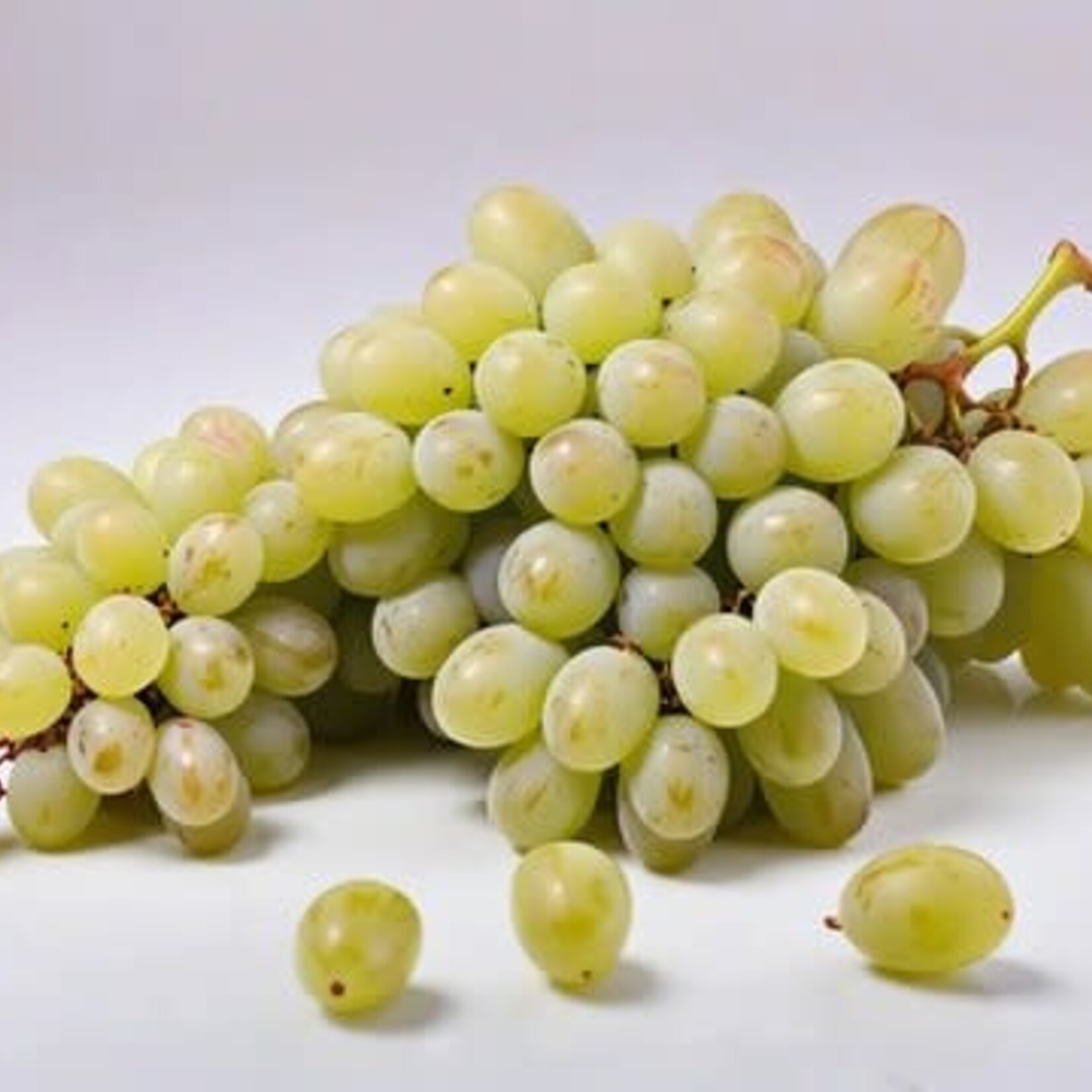 Grape Concord White 1 Gal