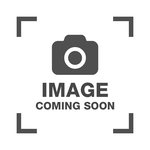 Sugar Maple Ruby Fire 10  gal