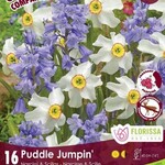 Colorful Companion Puddle Jumpin'