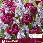 Colorful Companion Violet Skies