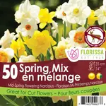 Daffodil Spring Mix
