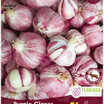 Garlic Hard Neck Purple Glazer per bulb