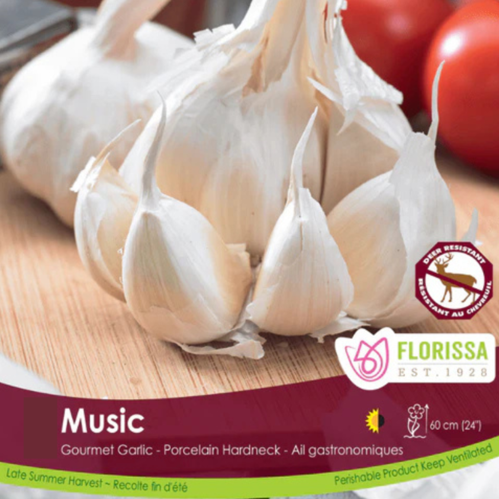 Garlic Hard Neck Music per bulb