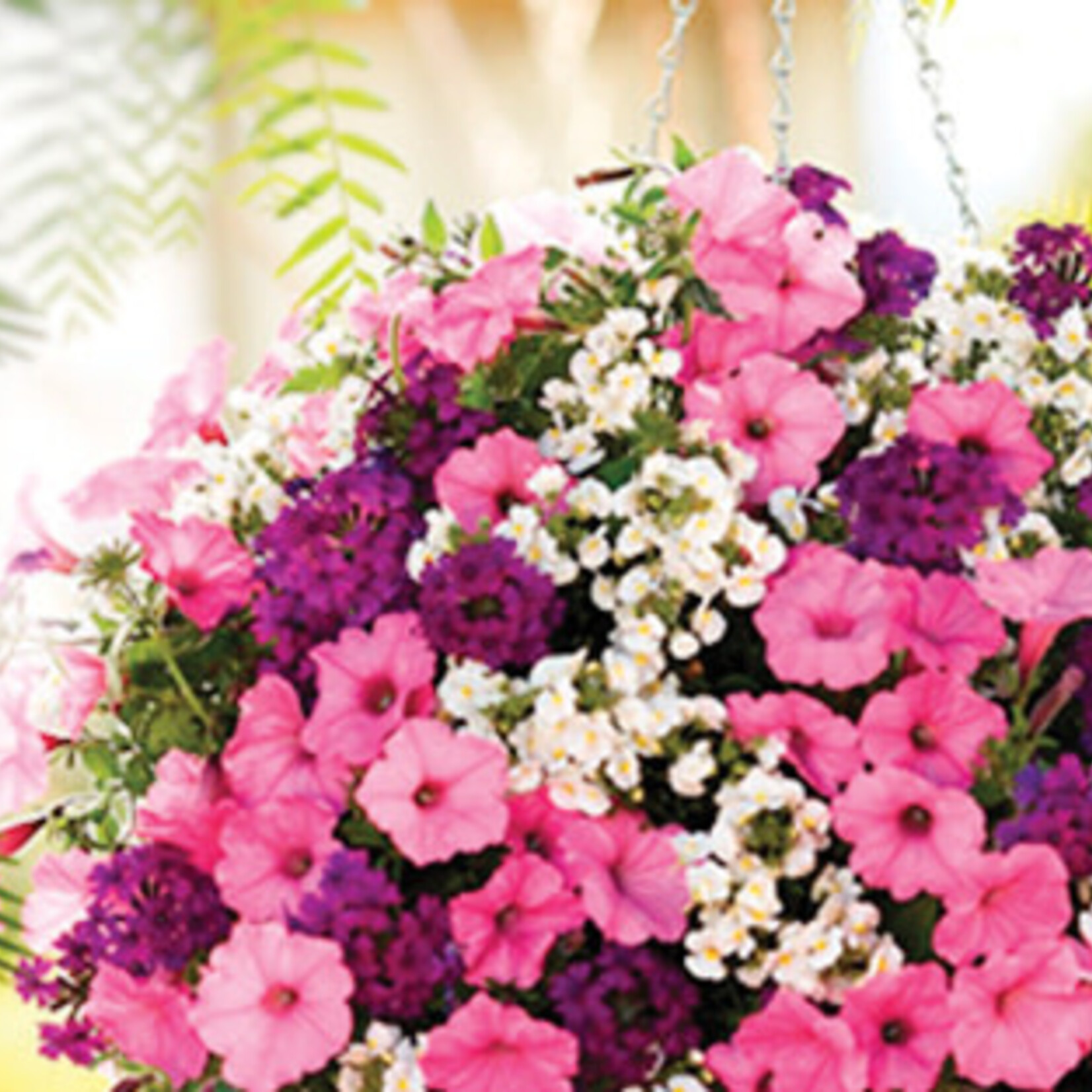 Spirit's Respite Ranch Hanging Baskets