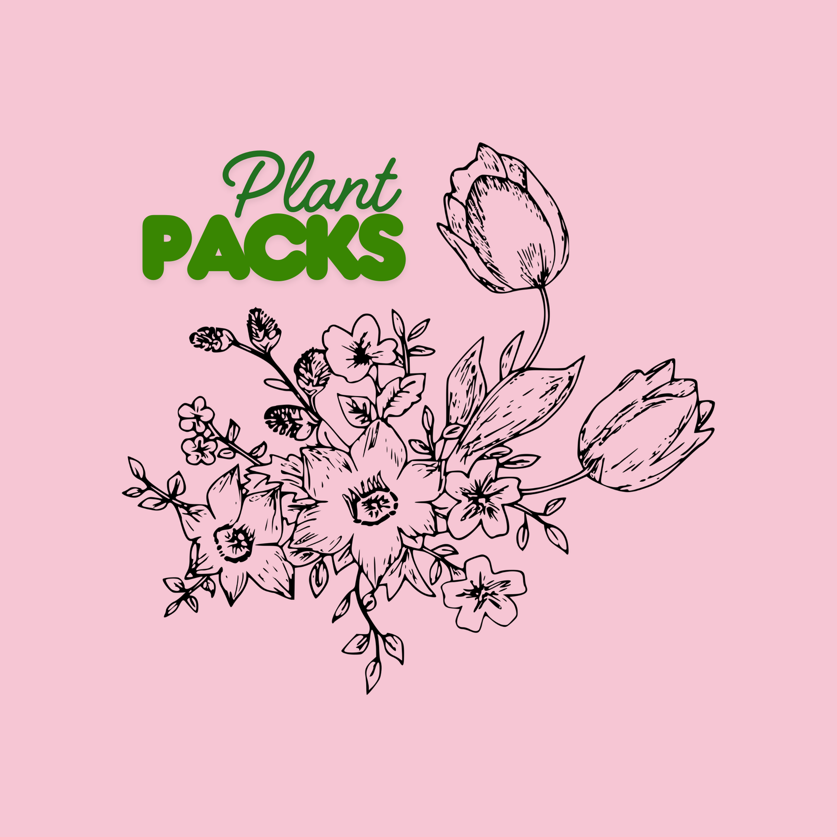 Spirit's Respite Ranch Plant Packs