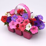 Spirit's Respite Ranch Packs