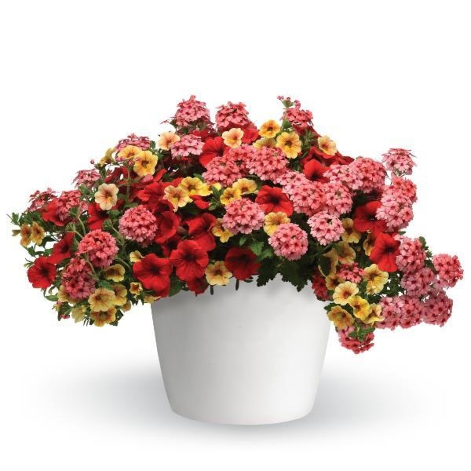 Donalda School Parent Society Containers