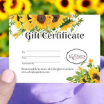 Stettler Swim Club Gift Cards