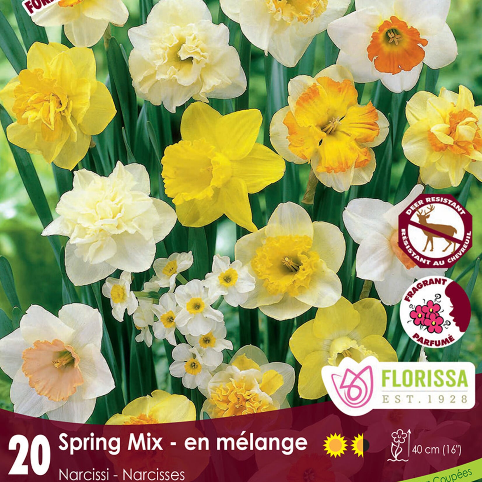 Daffodil Spring Mix 20 per package
