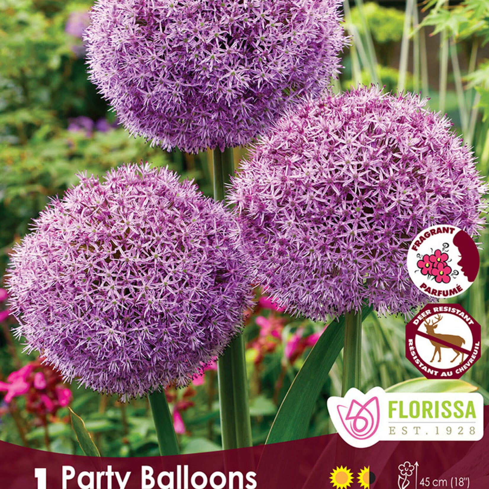 Allium Party Ballons 1 per package