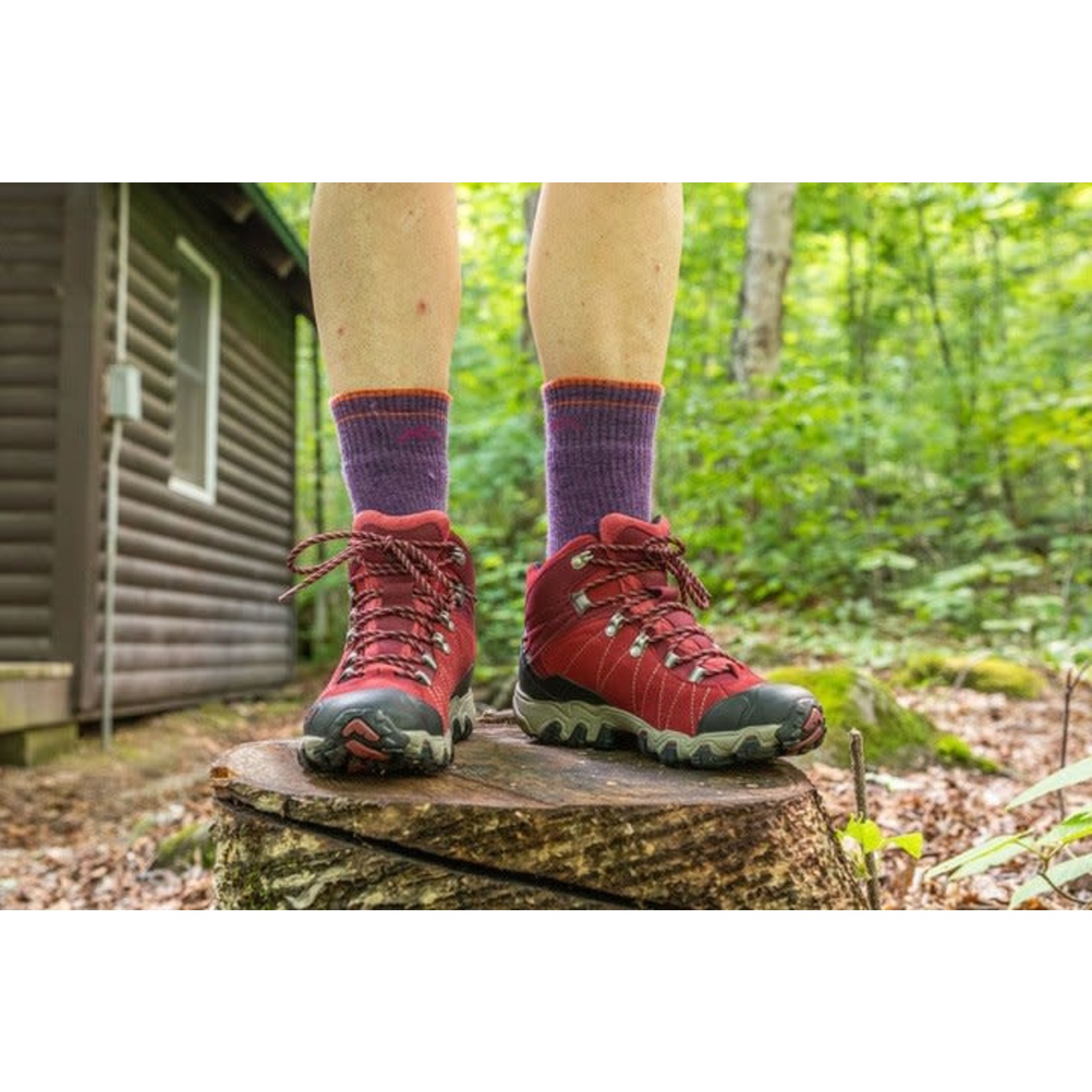 Darn Tough Socks Darn Tough W's Merino Wool Boot Hike/Trek Mid w/ Cushion