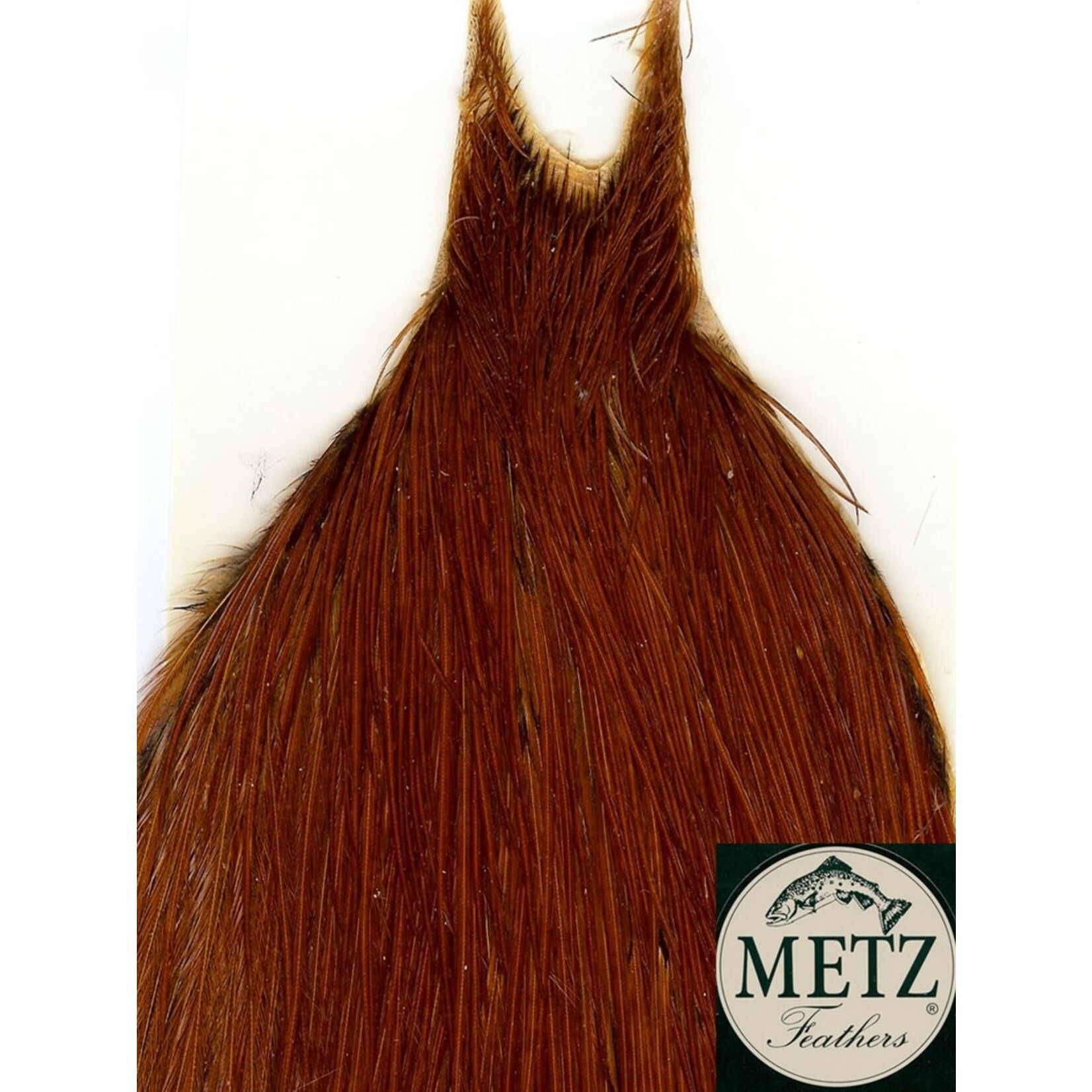 metz feathers METZ #1 NECK BROWN NATURAL
