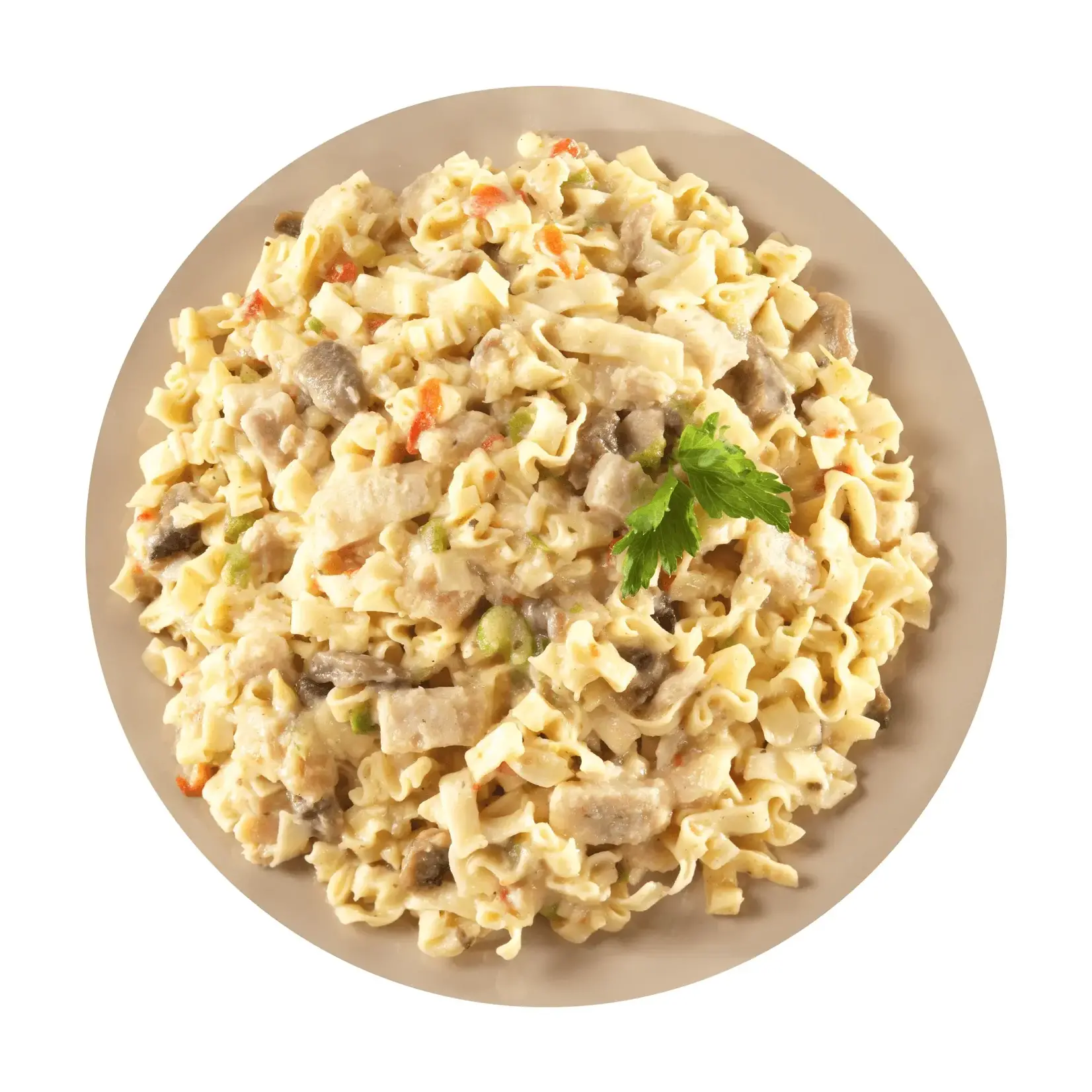 MOUNTAIN HOUSE Mountain House Homestyle Chicken Noodle Casserole  #10 Can 10 Servings