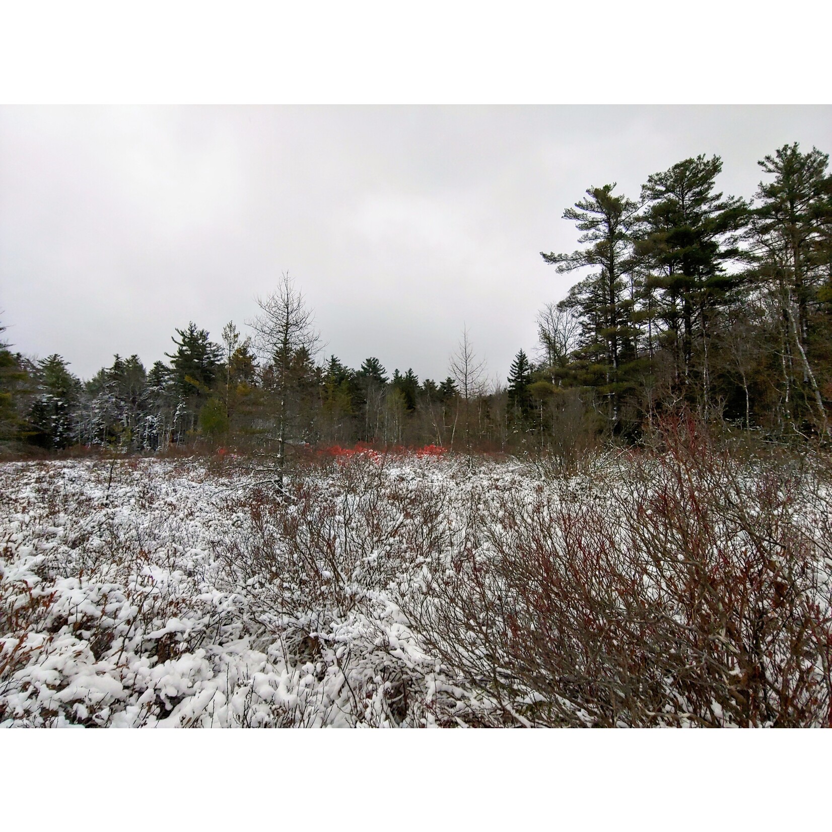 Learn to Deer Hunt 101