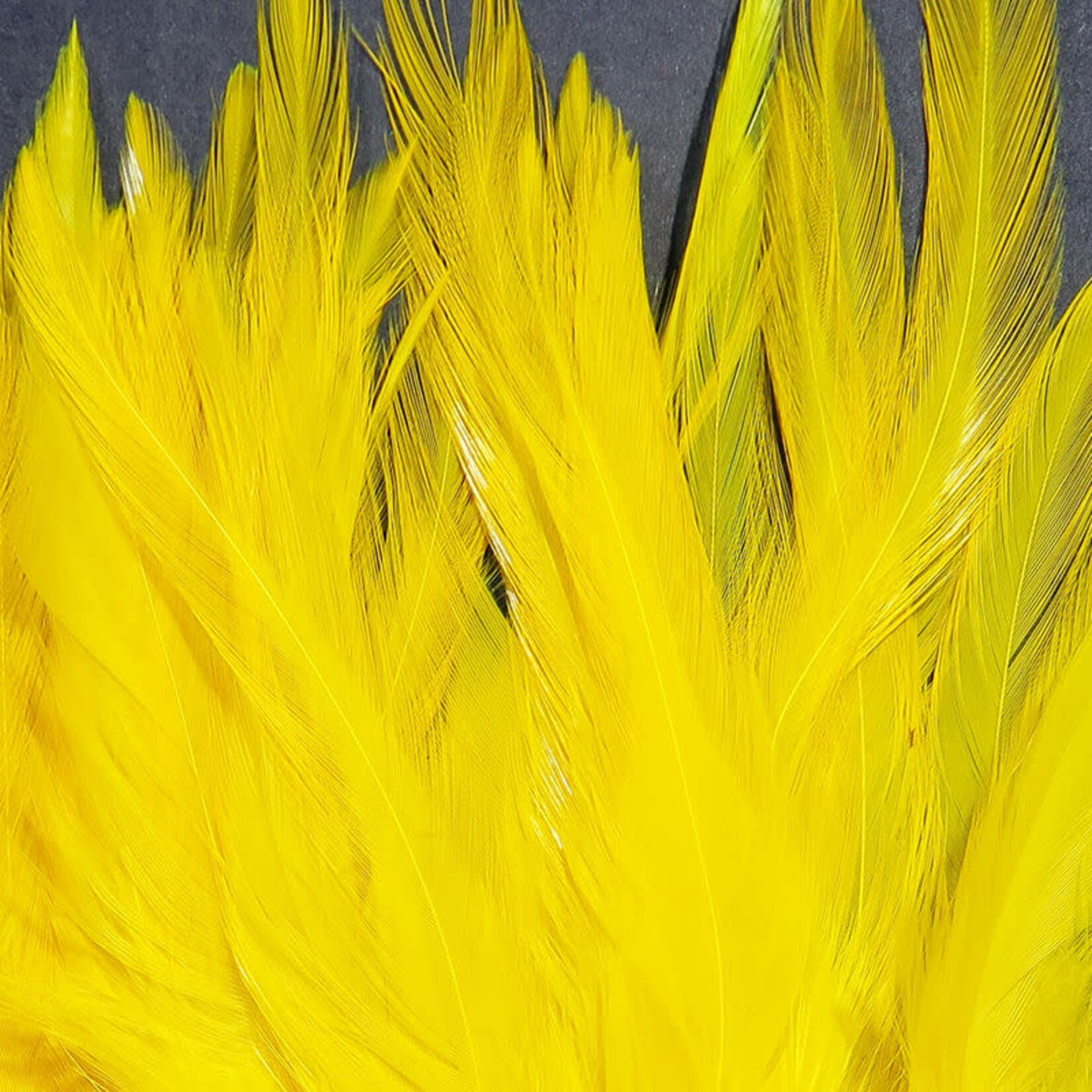 SPIRIT RIVER UV2 Strung Saddle Yellow #075