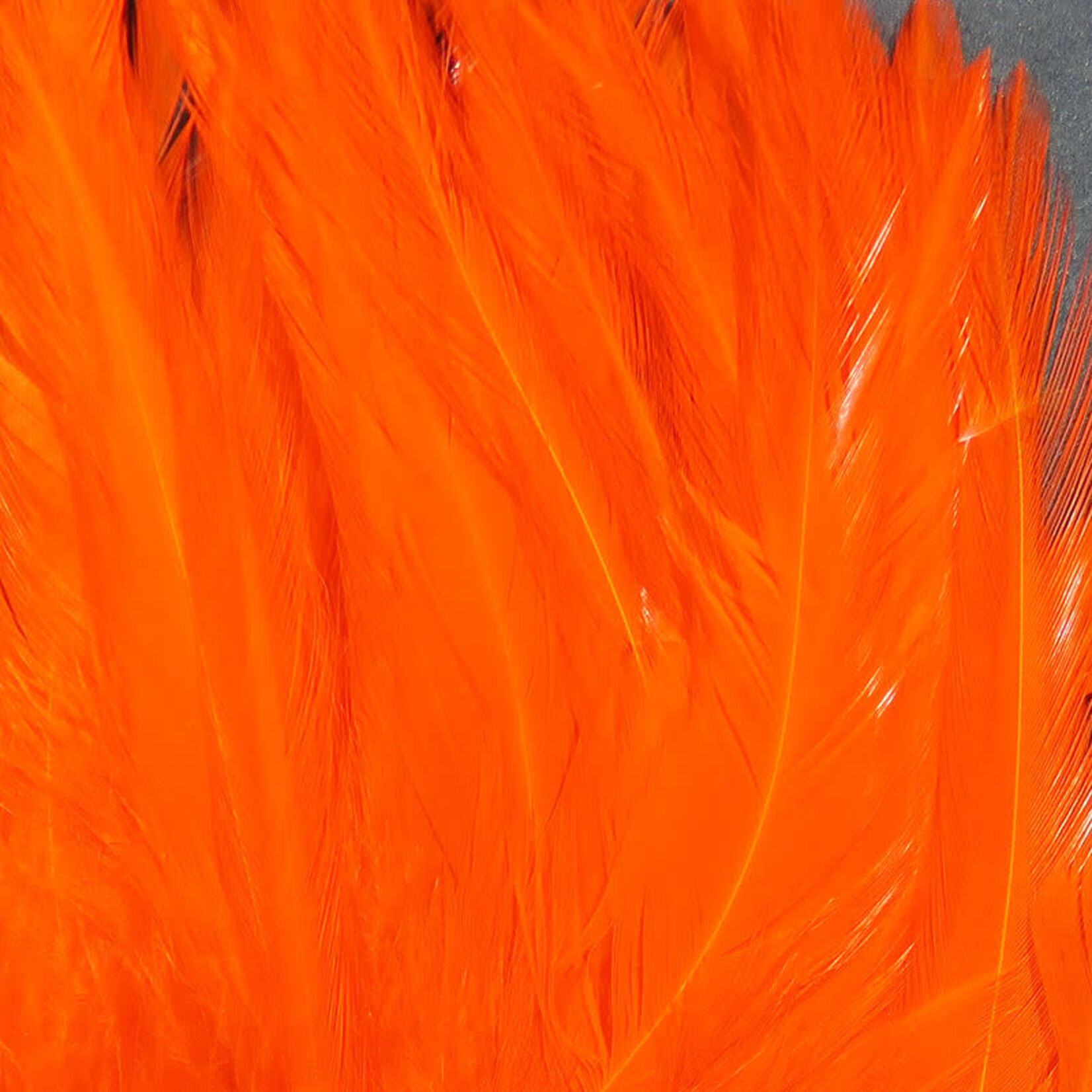 SPIRIT RIVER UV2 Strung Saddle Hot Orange #123