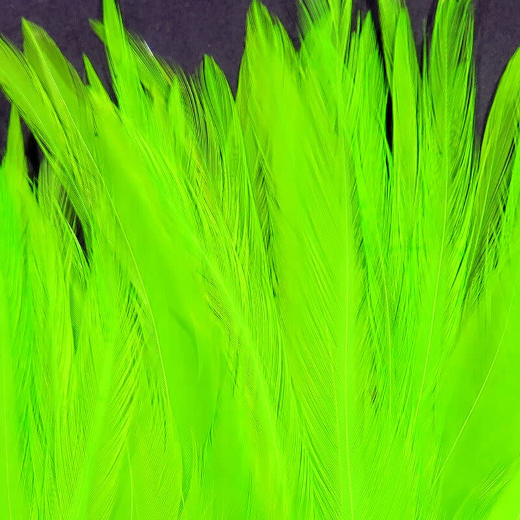 SPIRIT RIVER UV2 Strung Saddle Fl Chartreuse #125