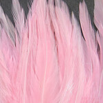 UV2 Strung Saddle Pink #097