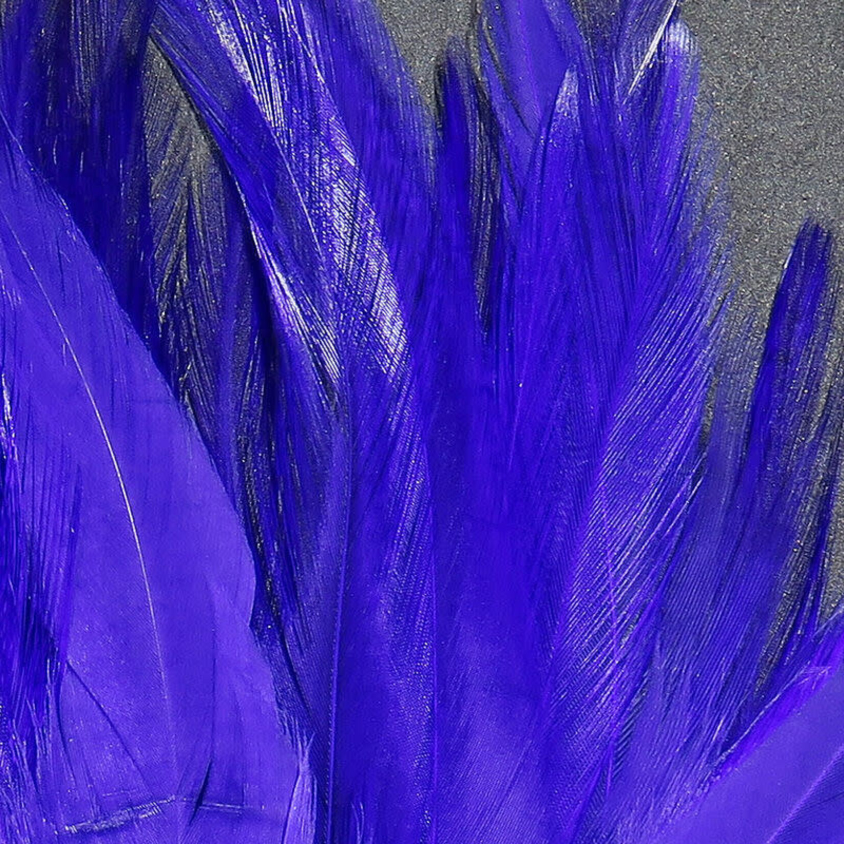 SPIRIT RIVER UV2 Strung Saddle Purple #091