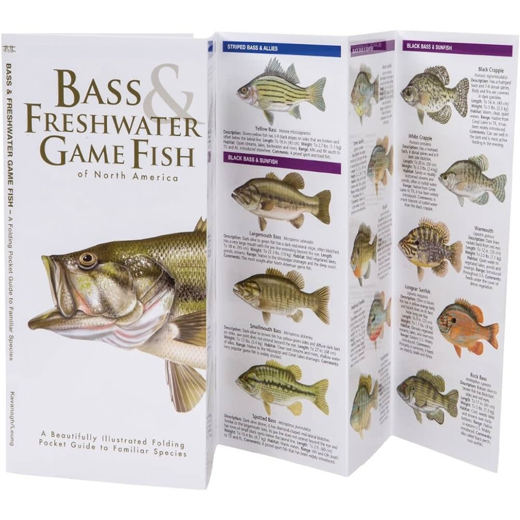 BASS & FRESHWATER GAME FISH Guide