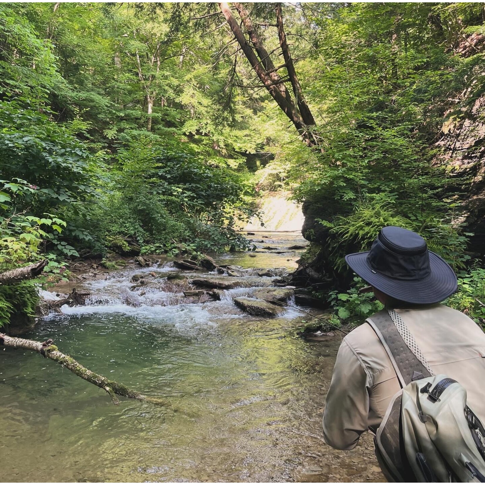 Half Day Wade Fly Fishing (4 Hours)