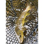 Half Day Wade Fly Fishing (4 Hours)