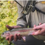 Full Day Wade Fly Fishing (8 Hours)