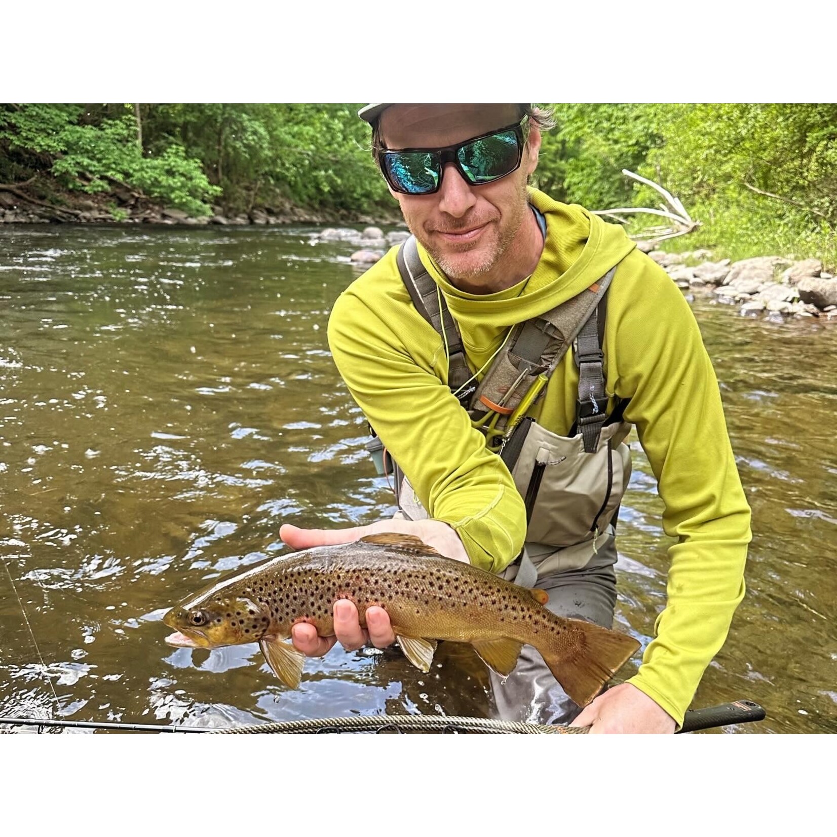 Full Day Wade Fly Fishing (8 Hours)