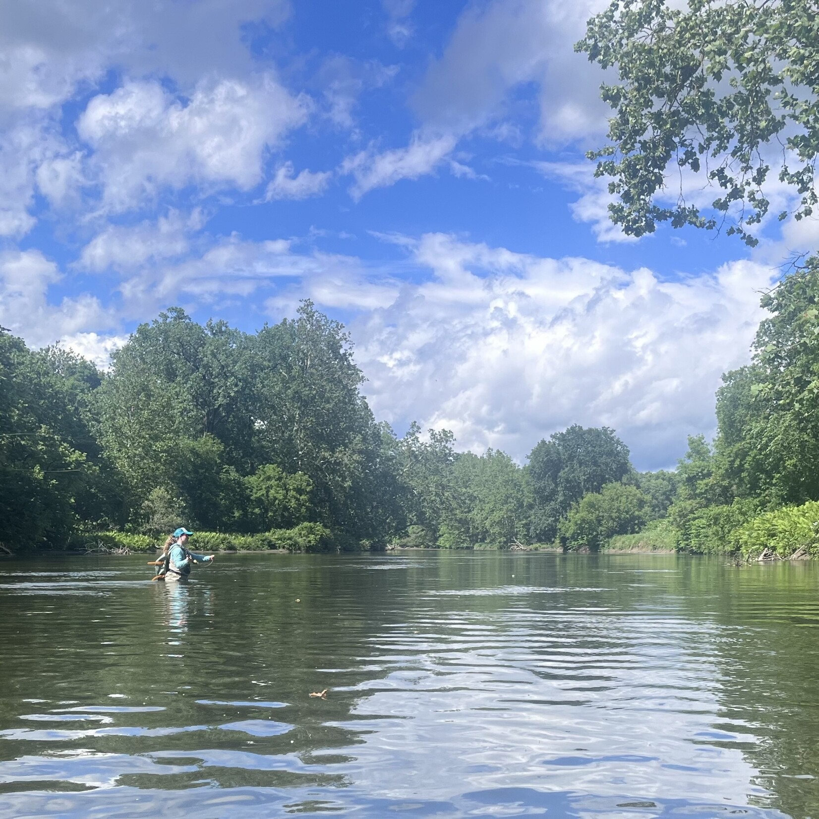 Full Day Wade Fly Fishing (8 Hours)