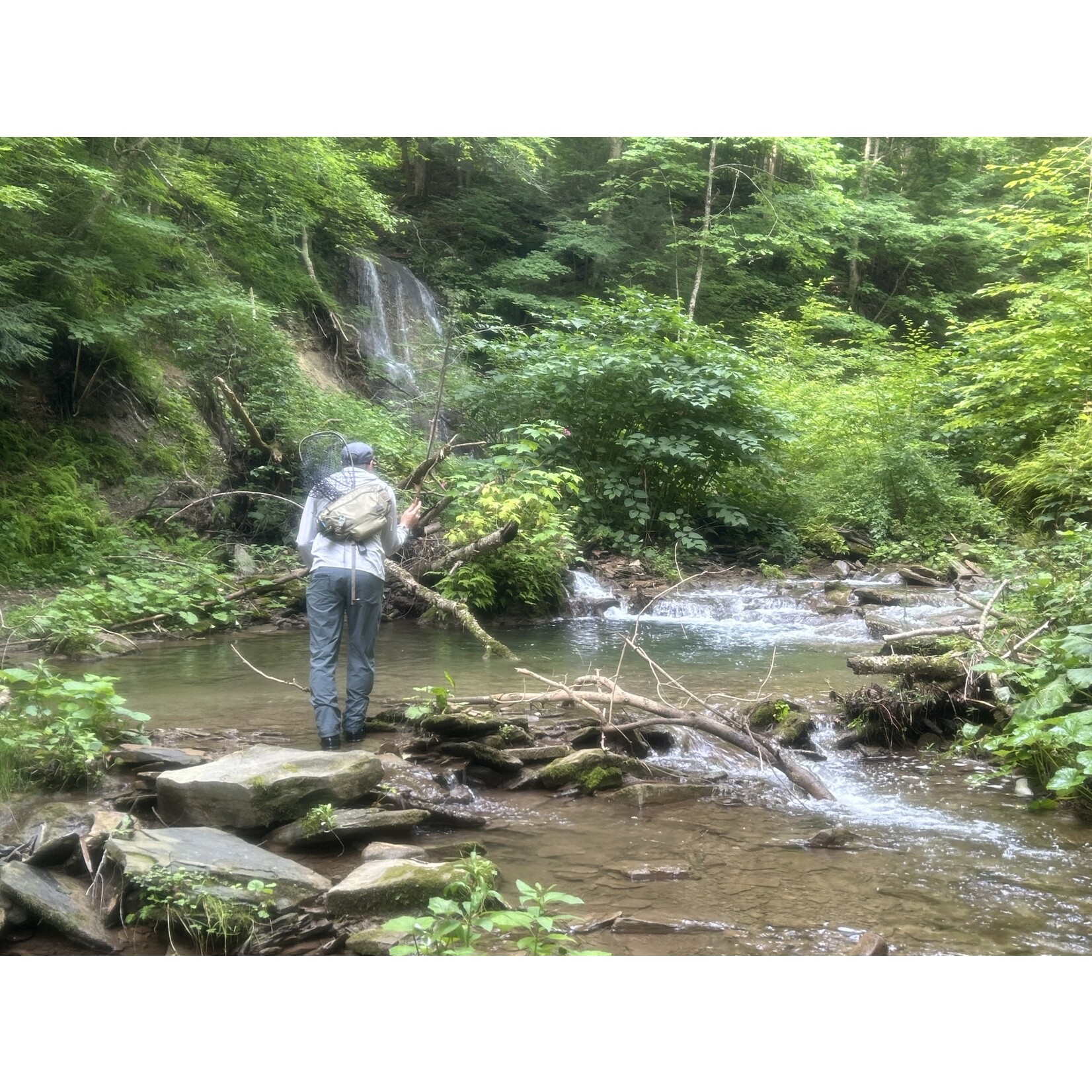 Full Day Wade Fly Fishing (8 Hours)