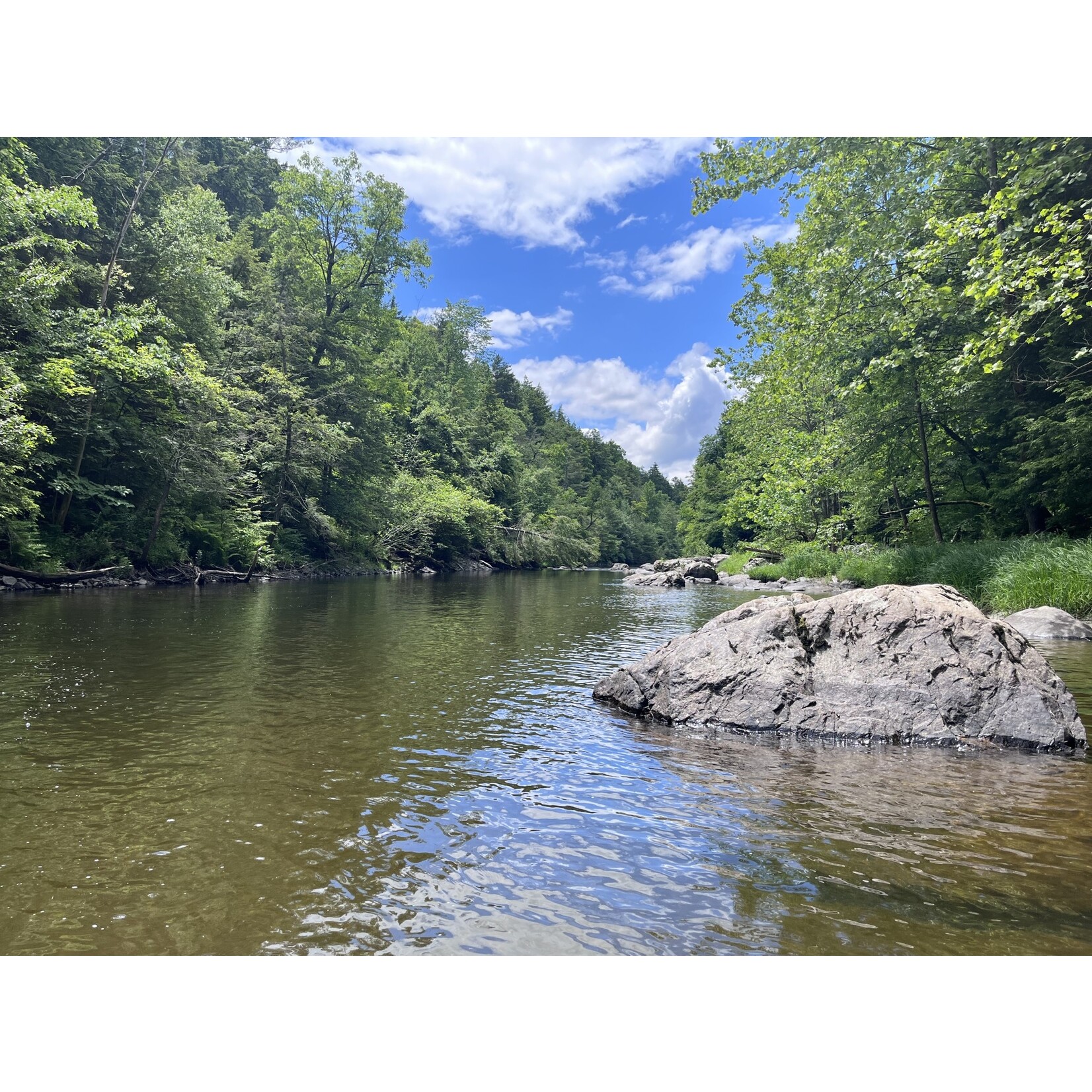 Full Day Wade Fly Fishing (8 Hours)