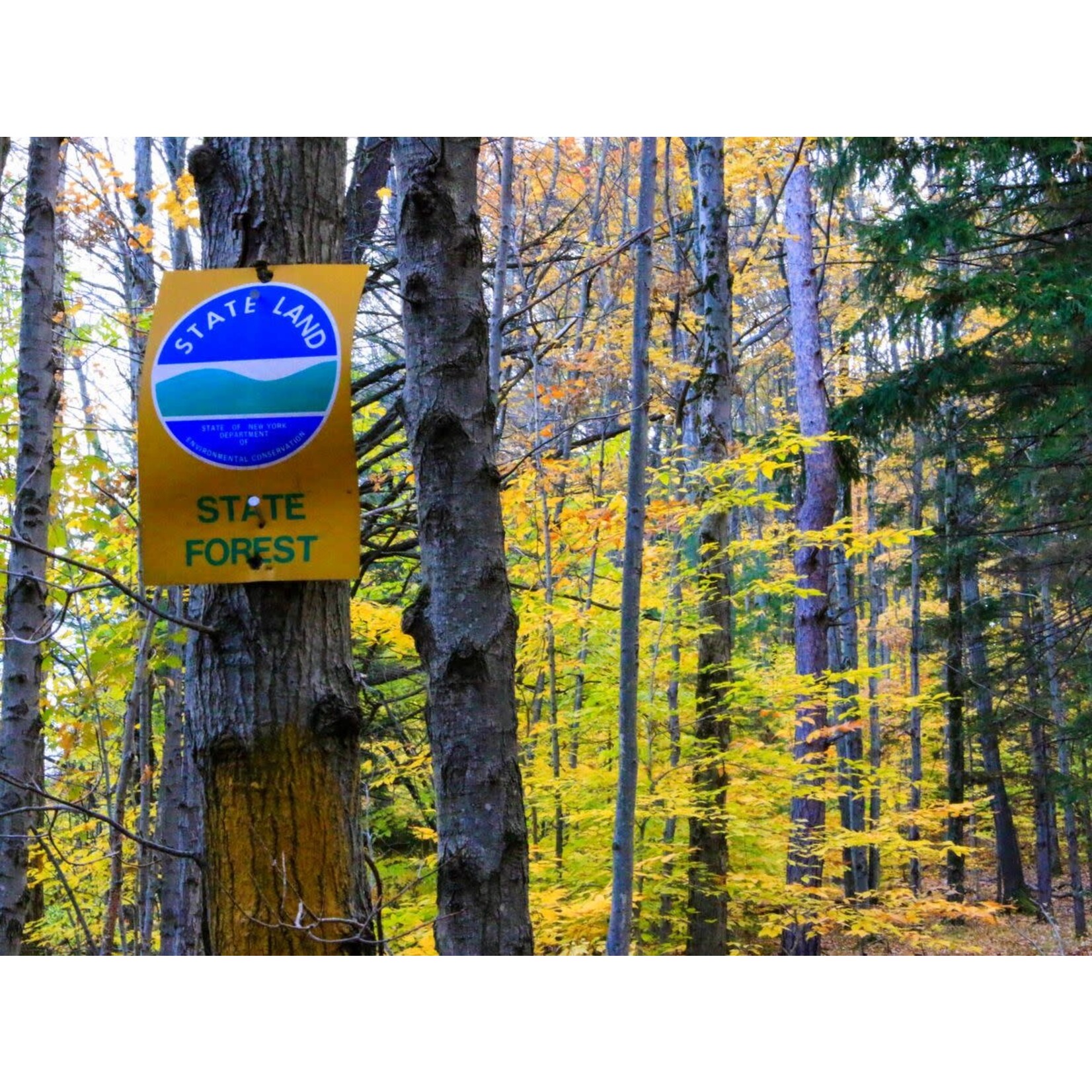 Learn to Deer Hunt 101