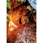 Wilderness Field Class Fire Building and Water Purification 5 Hour Field Class