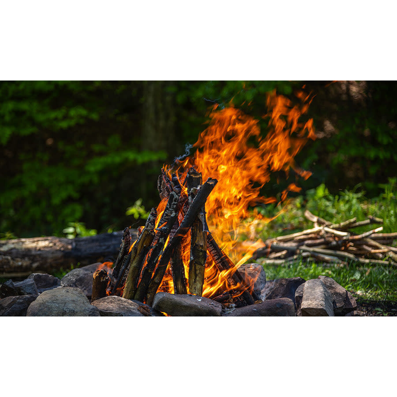 Wilderness Field Class Fire Building and Water Purification 5 Hour Field Class