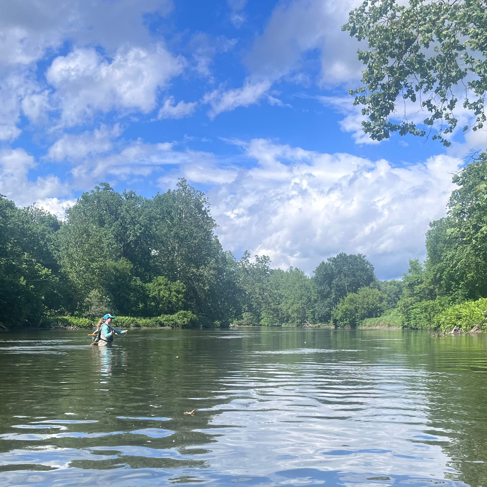 Trip Deposit 1/2 or Full Day Wade Fly Fishing