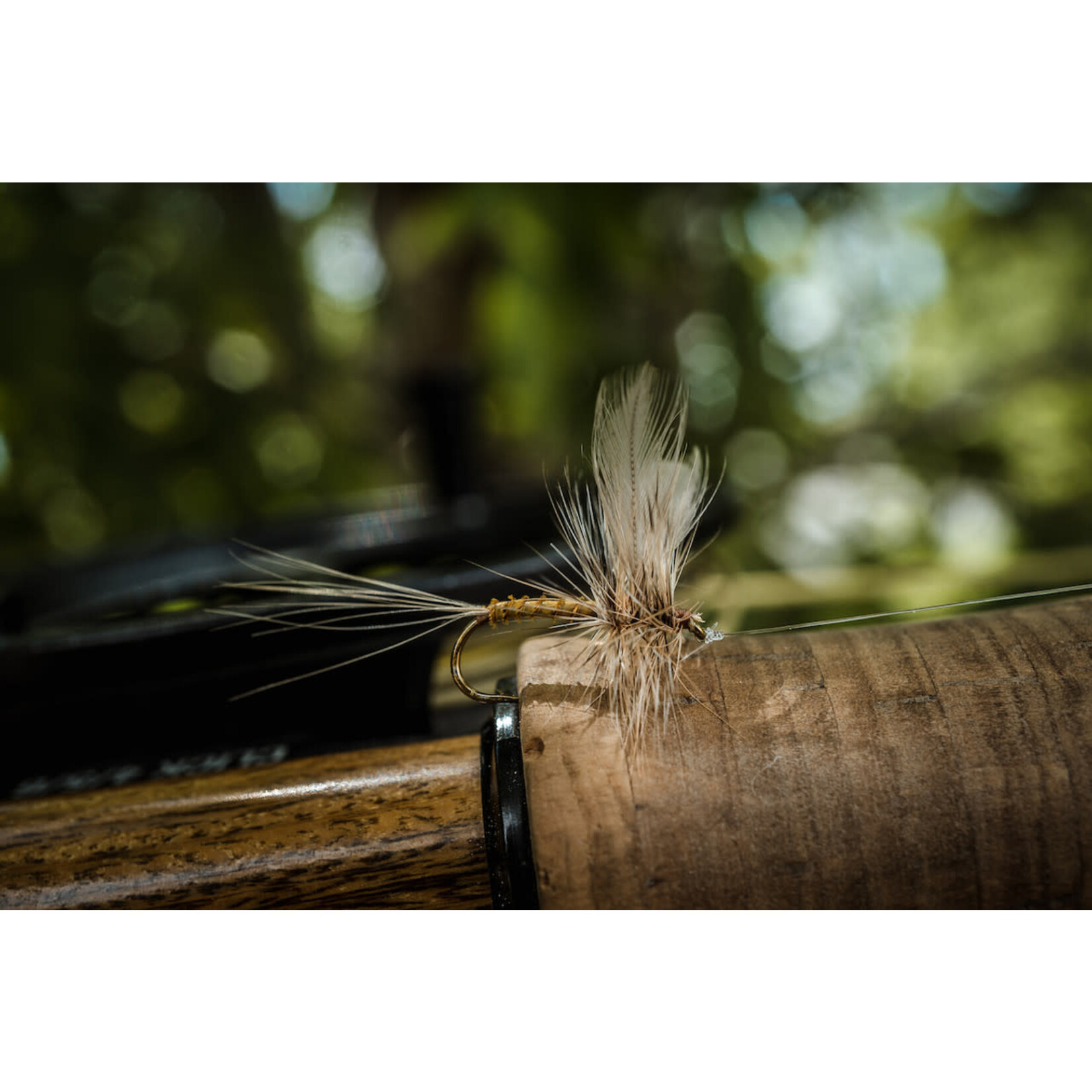 Umpqua Tiemco Dry Fly TMC100 Hooks 25 count