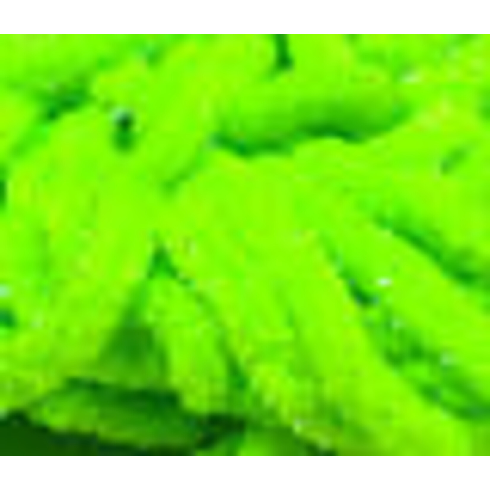 HARELINE UV Galaxy Mop Chenille