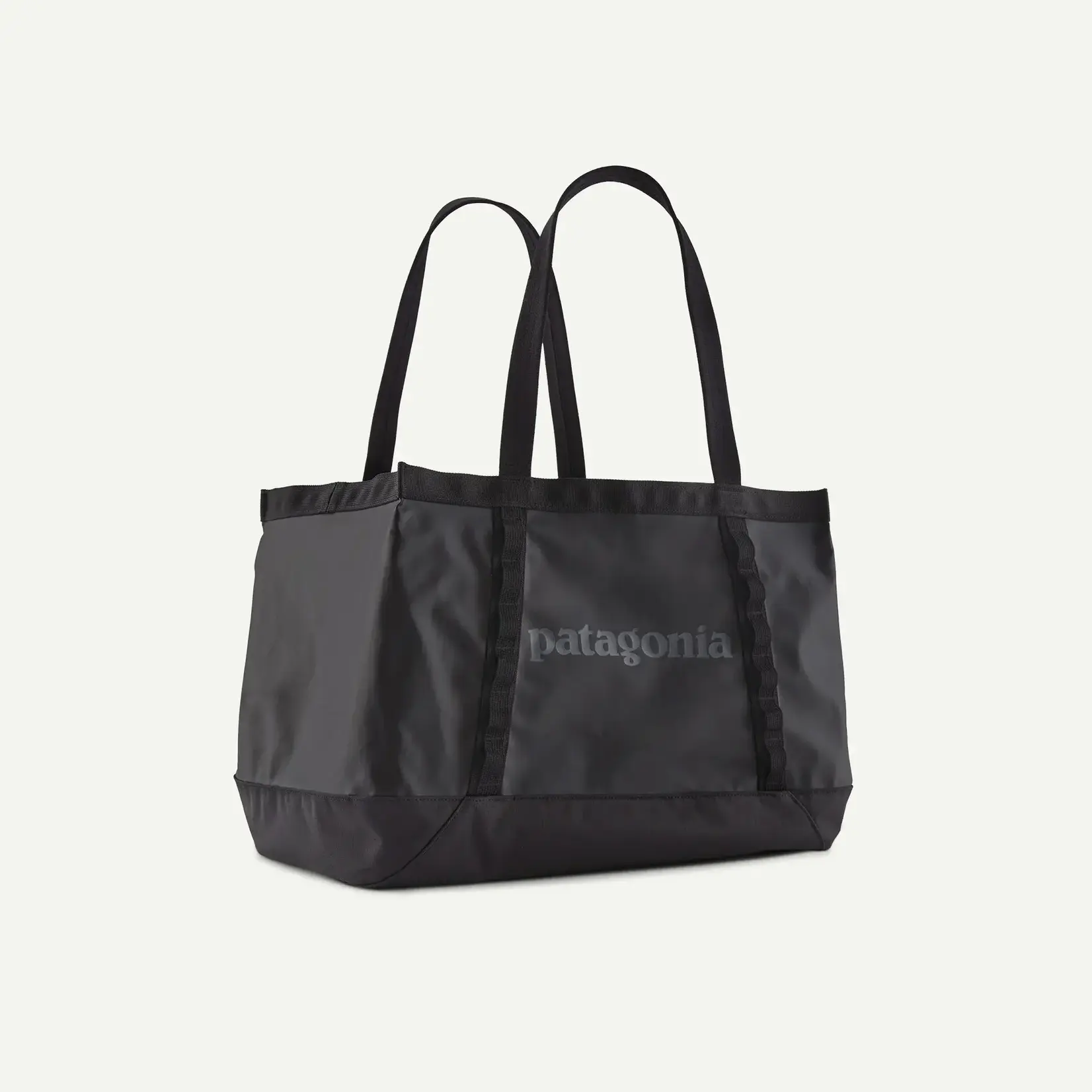 Patagonia Patagonia Black Hole Tote 25L